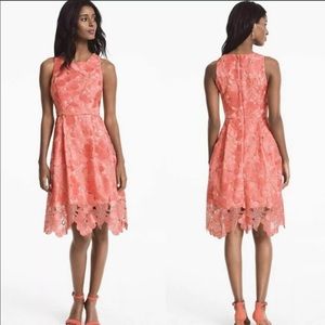 White House Black Market Embroidered Dress 00